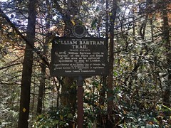  Bartram Trail Sign 