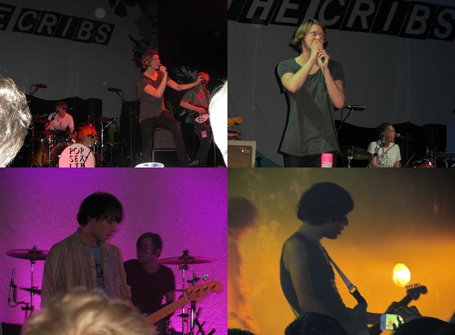 the cribs, frankie and the heartstrings, swn 