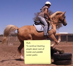 My PLO as an Equine Teacher