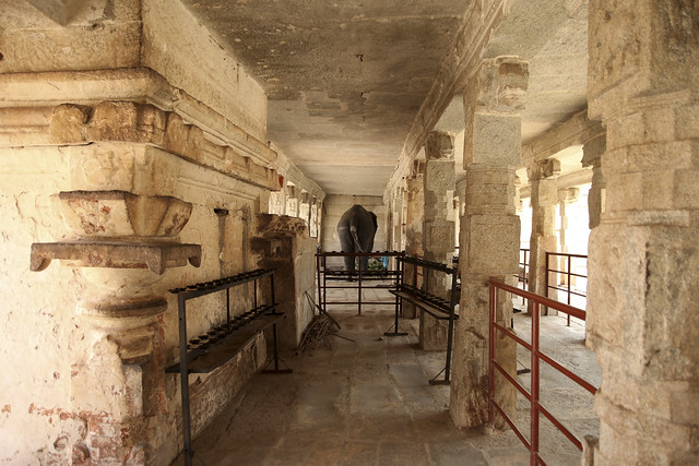 Elephant Laxmi in Hampi Temple