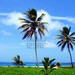Caribbean Wild Seascape in Martinique © Bluelight