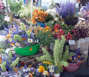 farmers-market-flowers