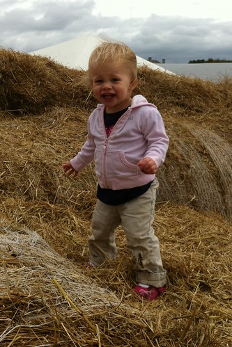 Lucy on the hay bales at the farm
