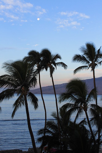 Maui - morning beach view