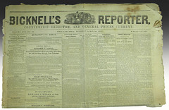 Bicknell's reporter
