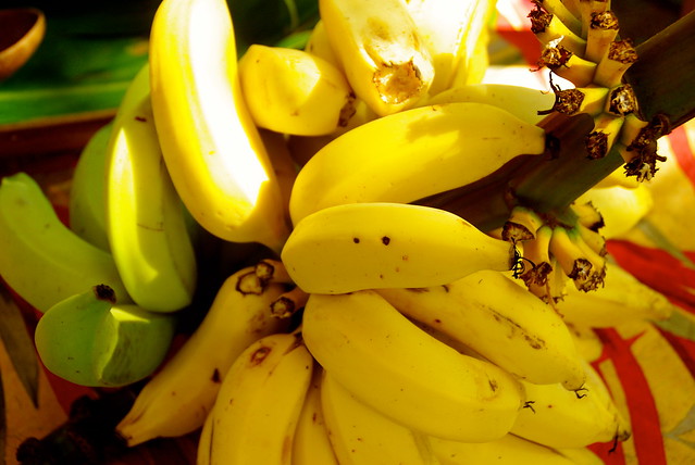 apple bananas at Kilohana Plantation