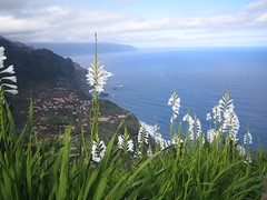 2008 Feb - Madeira