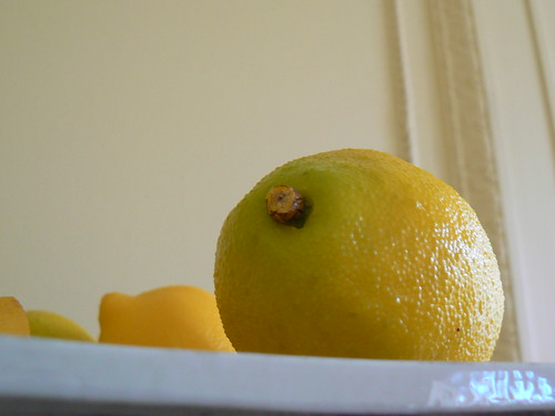 Lemons - The Mount