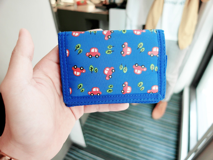 cute diao wallet for the trip