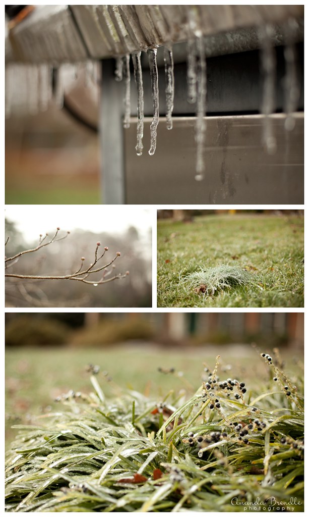 Ice Storm 2013 | Amanda Brendle Photography - Raleigh, NC Photographer