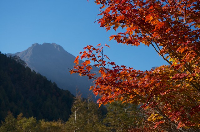 秋の八ケ岳2012