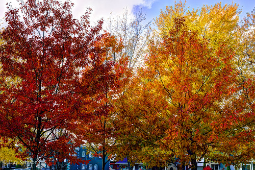 HDR Fall Colors / Couleurs HDR d'automne by guysamsonphoto