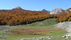 Lago Vivo (Parco Nazionale d'Abruzzo)