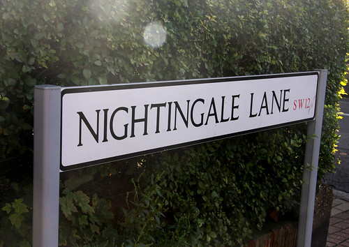 nightingale lane