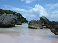 2009 Bermuda