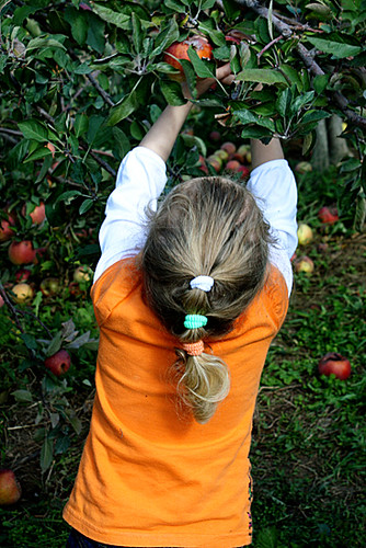 Auttie-picking-apple