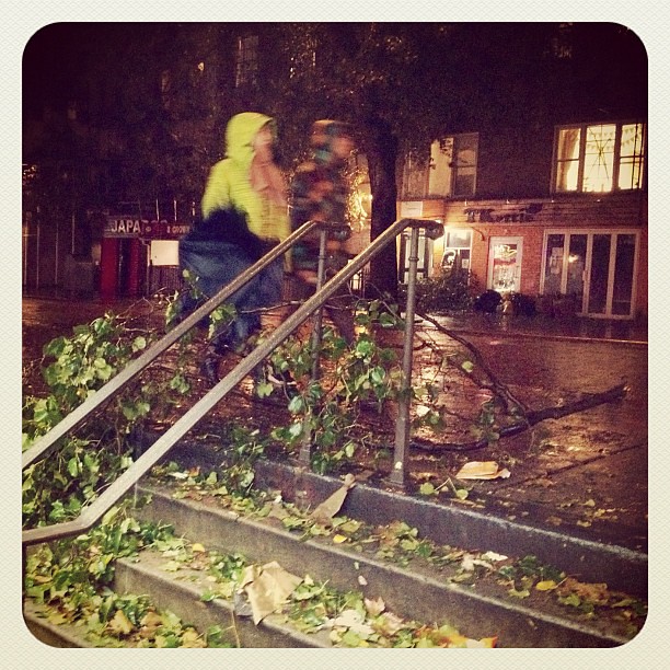 #Sandy finally hits: Branches down all over the East Village NYC