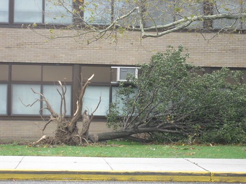 Hurricane Sandy" North Babylon High School