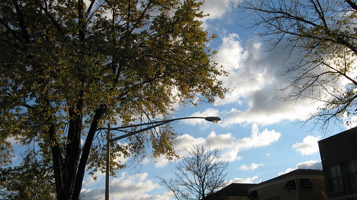 Trees sky and silhouettes.  Elmwood Park Illinois.  Late October 2012. by Eddie from Chicago