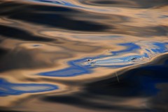 study of leaf in water at sunrise