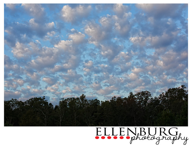 Fluffy Clouds Daphne Ellenburg Photography Alabama