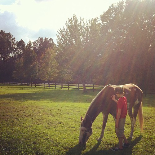 No words. {my kids thoroughly enjoyed our evening on the farm} #countryliving