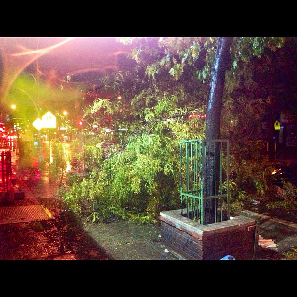 Fallen tree in Alphabet City / #EastVillage - Ave C near 9th + 11th St. #NYC #Sandy