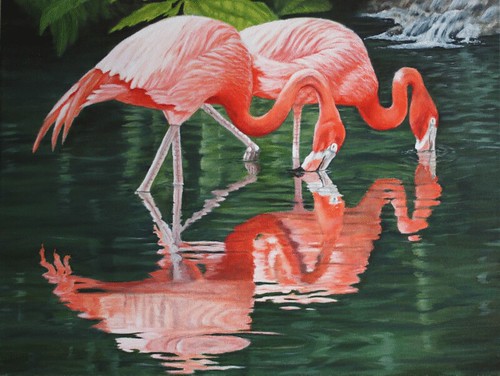Flamingos Feeding by Sid's art