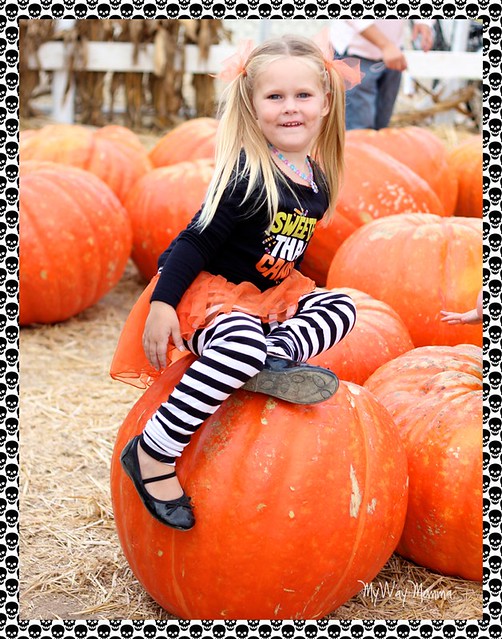 Pumpkin Patch October 2012 138