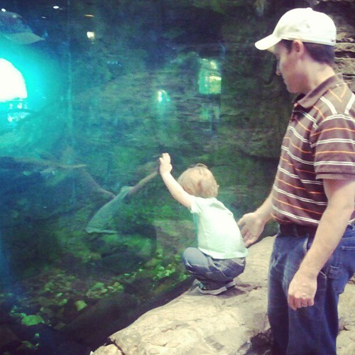 Checking out the fish.