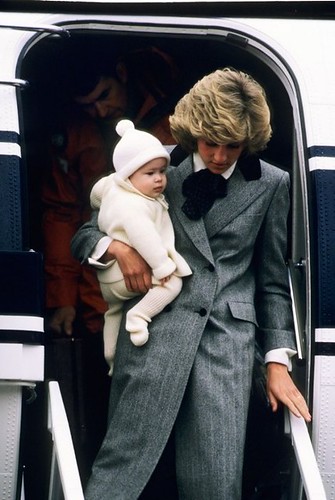 diana and wills