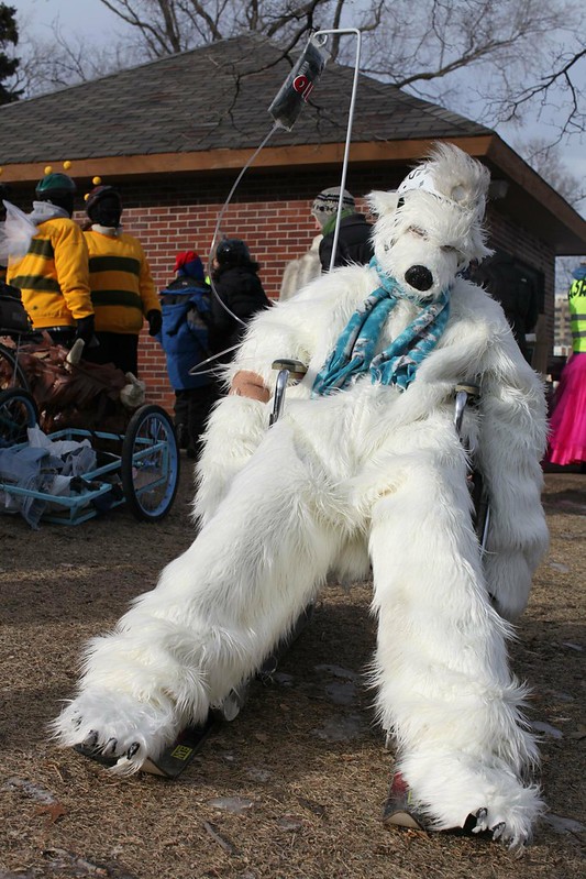 sad polar bear, went down the hill in a wheelchair on skis