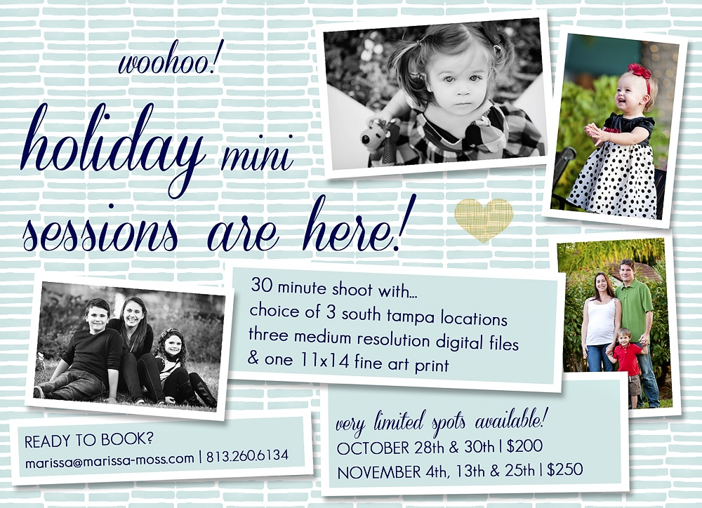 south tampa holiday mini sessions