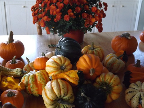 Autumn Harvest by countrylife4me1