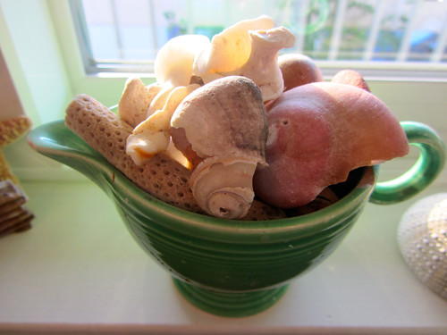 cup of shells