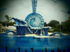 Seaworld Orlando 2012