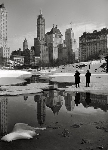 samuel gottscho 1933 Central Park by david haggard