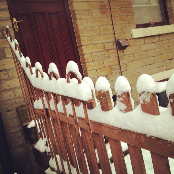 #snow #fence