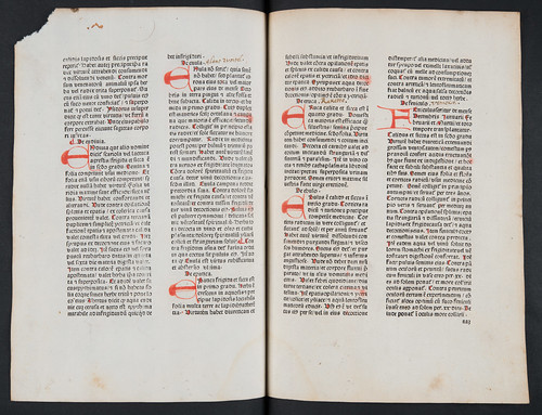 Dutch annotations in Crescentiis, Petrus de: Ruralia commoda