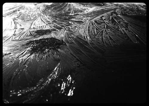 Frost on my car roof by Katie Fuller