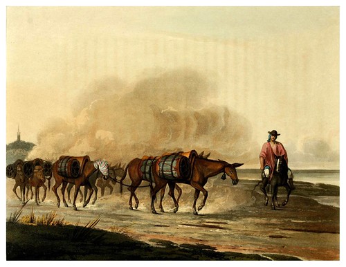 019-Transporte de vino en convoy de mulas-Picturesque illustrations of Buenos Ayres and Monte Video..-1820- Emeric Essex Vidal