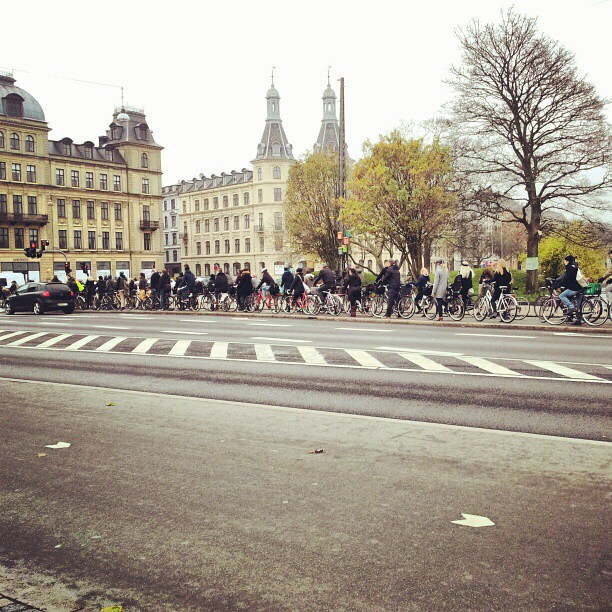 At least 100 citizen cyclists at each light here in the rush hour. #cyclechic #copenhagen #bike