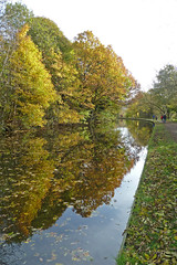 Leeds and Liverpool Canal near Bingley