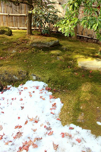 Nikko Toshogu garden4