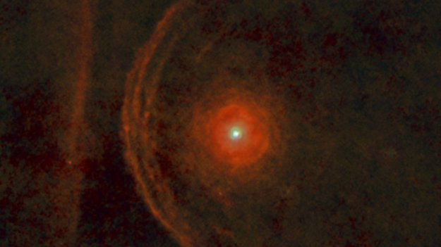 Betelgeuse supernova