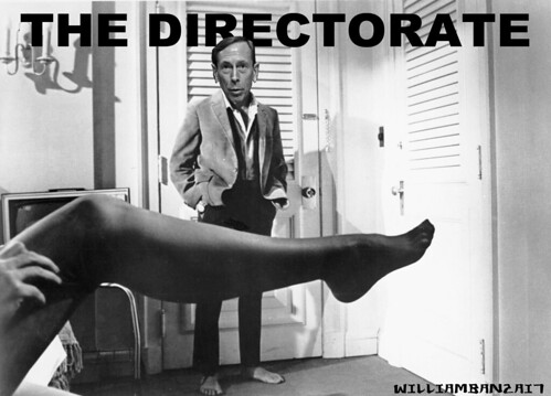 THE DIRECTORATE by Colonel Flick