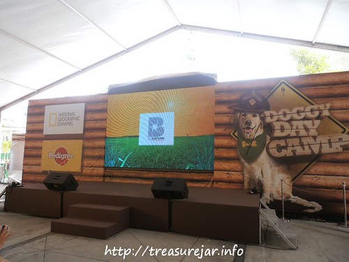 NatGeo Channel Doggy Day Camp Stage