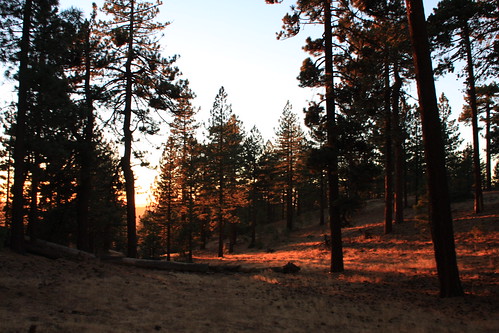 Pine Mountain Sunset No. 1