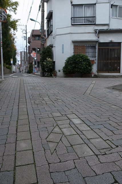 walking in Mejiro