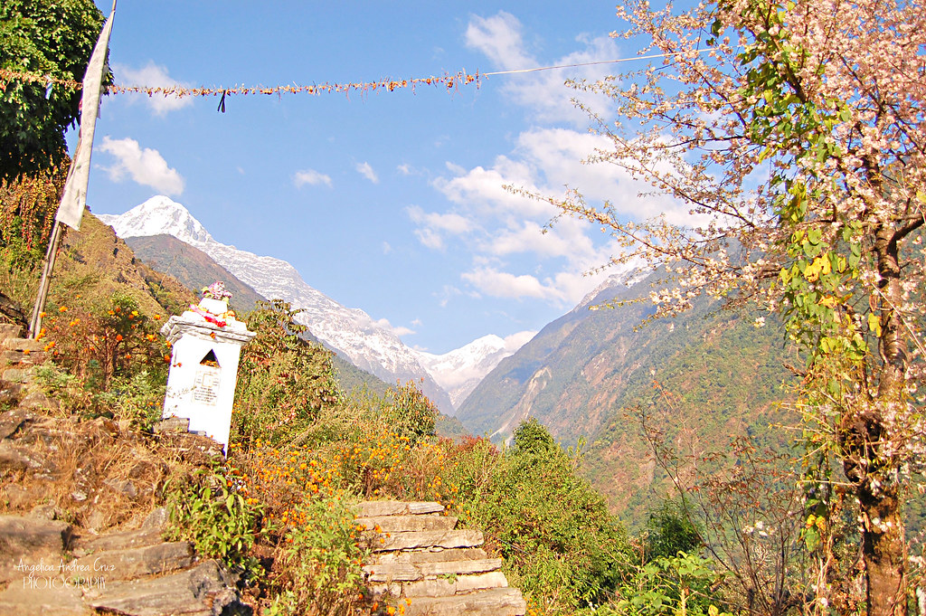 Annapurna Sanctuary Trek Chommrong
